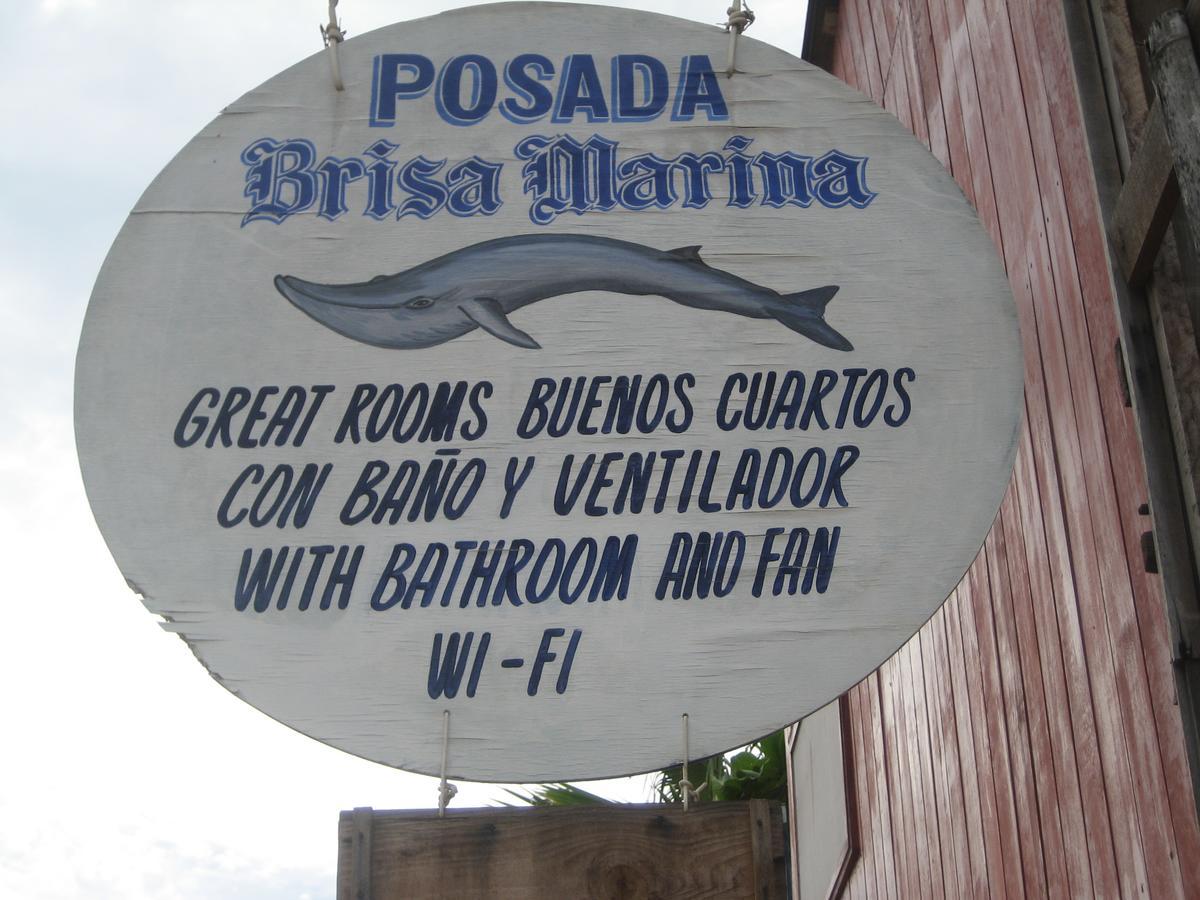 Posada Brisa Marina Hostel Zipolite Bagian luar foto